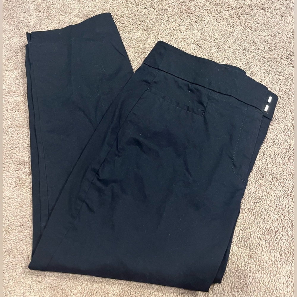 Ann Taylor dress pant